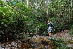 BIB: 1447
                            <button type="button" onclick="openModal(22353775)" class="btn btn-primary btn-sm float-right btn-popup" data-toggle="modal" data-target=".modal-high-quality">
                        <i class="fas fa-shopping-cart"></i> Add to Cart
                    </button>
                                            <button type="button" onclick="isThisMe(22353775, true)" class="btn btn-success btn-sm float-right btn-popup btn-isme hidden" data-toggle="tooltip" data-placement="bottom" title="นี่คือรูปของคุณใช่ไหม คลิกที่นี่เพื่อเอาเข้าอัลบั้ม">
                        <i class="fas fa-plus"></i> Add to album
                    </button>
                    <button type="button" onclick="isThisMe(22353775, false)" class="btn btn-warning btn-sm float-right btn-popup btn-isnotme hidden">
                        <i class="fas fa-ban"></i> Remove from album
                    </button>